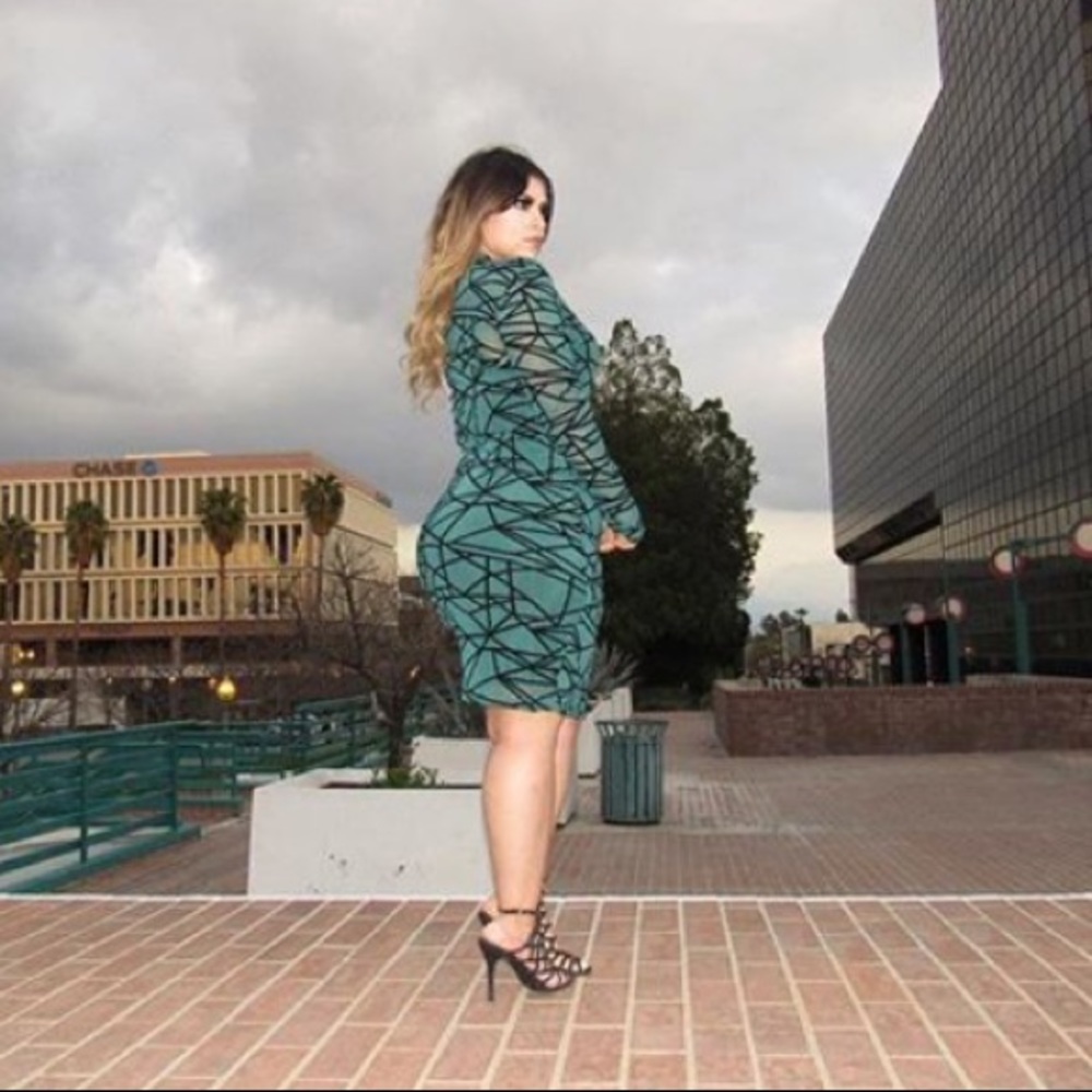 Long sleeve mesh dress